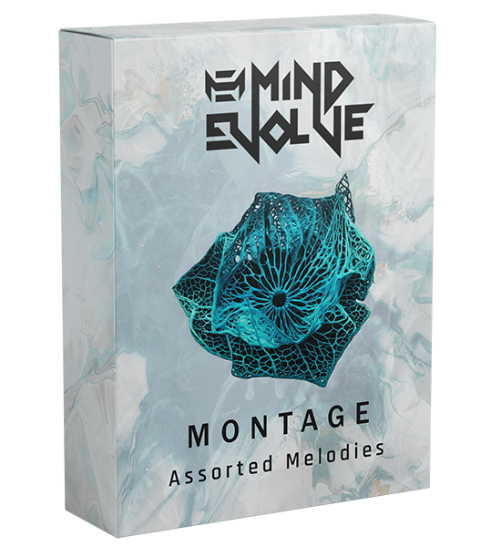 Montage - Assorted Melodies